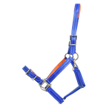 Buckle Nose Halter & Lead Beta Biothane Solid Colored