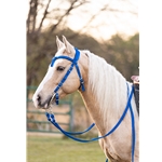 WESTERN BRIDLE with Futurity Knot Browband made from BETA BIOTHANE (Solid Colored)