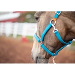 Any Color SAFETY HALTER & LEAD with BREAKAWAY LEATHER TAB made from BETA BIOTHANE (Solid Colored)