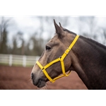 ***BETTER THAN LEATHER ** Economy Halter made from BETA BIOTHANE