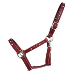 STABLE HALTER & LEAD made from LEATHER