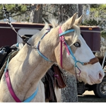 Two Horse Tack- Buy Picket Line Neck Collar for Horses Made From Beta Biothane