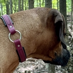 Center Ring DOG COLLAR made from BETA BIOTHANE (Solid Colored)