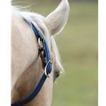 Get Neck Collar for Horse Made from Beta Biothane at Two Horse Tack