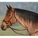 BROWN SIDEPULL Bitless Bridle made from BETA BIOTHANE