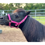 Heavy Duty Turnout HALTER & LEAD made from NYLON