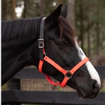 NYLON with Breakaway Leather Crown Safety Halter