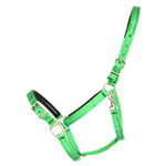 Buckle Nose Halter & Lead Beta Biothane Solid Colored