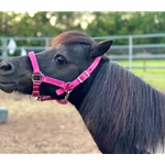 Any Color FIGURE 8 Style FOAL HALTER made from BETA BIOTHANE (Solid Colored)