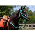 READY MADE - BLACK ENGLISH BRIDLE and REINS made from Beta Biothane