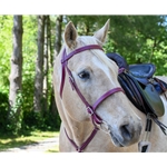 ENGLISH CONVERT-A-BRIDLE made from LEATHER