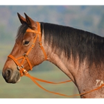 ORANGE SIDEPULL Bitless Bridle made from BETA BIOTHANE