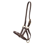 Any Color Regular FOAL/MINI HALTER made from BETA BIOTHANE (Solid Colored)