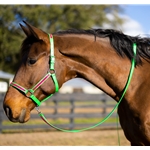 STABLE HALTER & LEAD made from BETA BIOTHANE (Solid Colored)