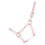 STABLE HALTER & LEAD made from LEATHER