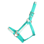 STABLE HALTER & LEAD made from BETA BIOTHANE (Solid Colored)