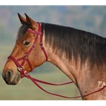 WINE SIDEPULL Bitless Bridle made from BETA BIOTHANE