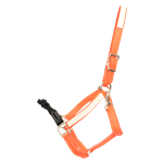 ROPE COMBO HALTER made from BETA BIOTHANE (Solid Colored)