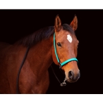 GROOMING HALTER & LEAD made from BETA BIOTHANE (Solid Colored)