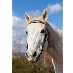 WESTERN BRIDLE (Full Browband) made from LEATHER