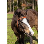 WESTERN BRIDLE (Full Browband) made from LEATHER