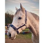 Lunging Cavesson with Padded Noseband Made from Beta Biothane – Two Horse Tack