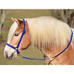 DARK BLUE GROOMING HALTER & LEAD made from BETA BIOTHANE