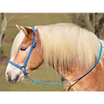 LIGHT BLUE GROOMING HALTER & LEAD made from BETA BIOTHANE