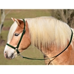 HUNTER GREEN GROOMING HALTER & LEAD made from BETA BIOTHANE