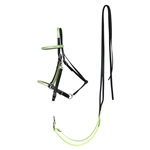 HTraditional HALTER BRIDLE made with REFLECTIVE DAY GLO Biothane