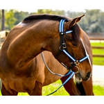 **WHOLESALE Tack** Quick Change HALTER BRIDLE with Snap on Browband made with REFLECTIVE DAY GLO Biothane