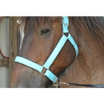 1.5 inch Heavy Duty DRAFT HORSE HALTER (Solid Colored)