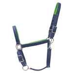 Padded Halter made from BETA BIOTHANE with COLORED SYNTHETIC PADDING