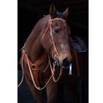 WESTERN BRIDLE (Full Browband) made from LEATHER