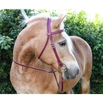 WESTERN BRIDLE (Full Browband) made from LEATHER