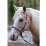 ENGLISH BRIDLE made from Beta Biothane (Solid Colored)