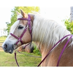 Traditional HALTER BRIDLE with BIT HANGERS made from LEATHER