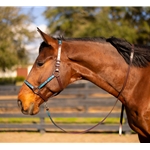 STABLE HALTER & LEAD made from LEATHER