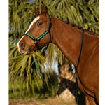 STABLE HALTER & LEAD made from BETA BIOTHANE (Solid Colored)