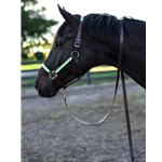 STABLE HALTER & LEAD made from BETA BIOTHANE (Solid Colored)