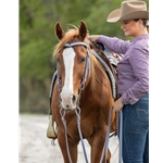 BETA BIOTHANE Western Bridle with V Browband