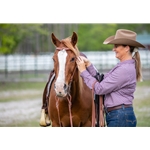 BETA BIOTHANE Western Bridle with Center Ring Browband