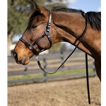 STABLE HALTER & LEAD made from LEATHER