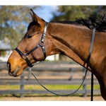 STABLE HALTER & LEAD made from BETA BIOTHANE (Solid Colored)