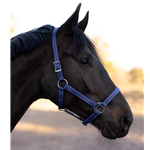 STABLE HALTER & LEAD made from BETA BIOTHANE (Solid Colored)