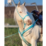 ENGLISH BRIDLE made from Beta Biothane (Solid Colored)