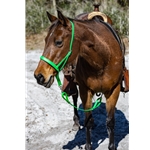 ENGLISH BRIDLE made from Beta Biothane (Solid Colored)
