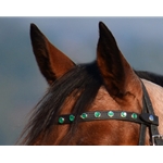 ENGLISH BRIDLE made from Beta Biothane (Solid Colored)