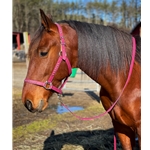 Any Color SAFETY HALTER & LEAD with BREAKAWAY LEATHER TAB made from BETA BIOTHANE (Solid Colored)