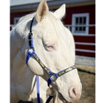 REFLECTIVE Safety HALTER & LEAD with BREAKAWAY LEATHER CROWN made from Beta Biothane
